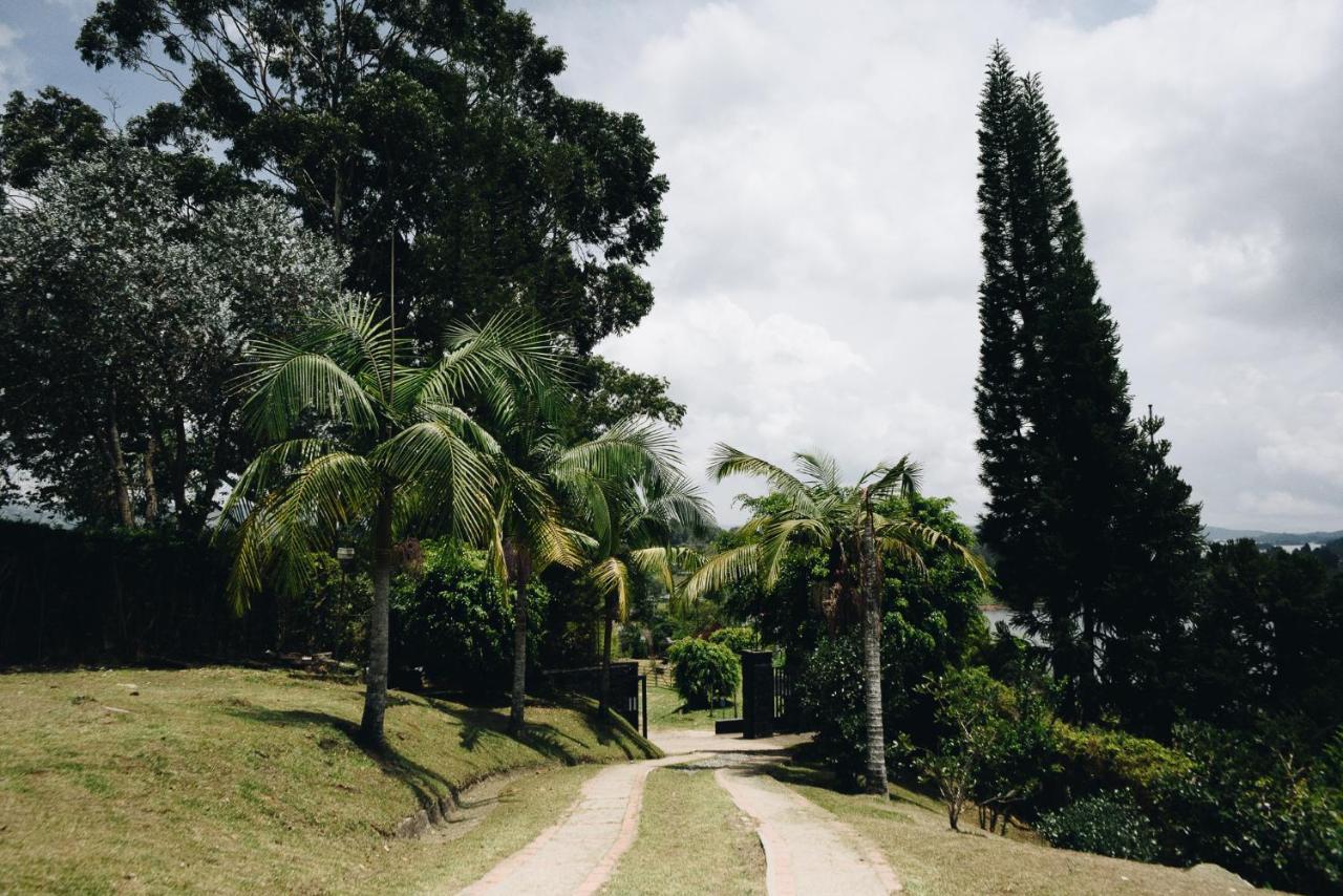 Happy Buddha Hostel & Lodge Guatapé 外观 照片